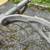 Vintage Quick-N-Easy 60"gutter mount vehicle racks for boats etc.- Aub 8 thumbnail