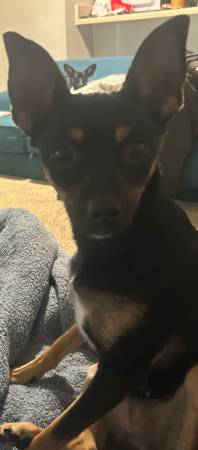 Chiwinnie (fremont / union city / newark)63861462611843120