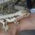 Crested geckos 1 thumbnail
