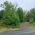 1.13 Acre - Offers welcomed 5 thumbnail