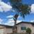 💎APARICIO's Landscaping, Tree, Concrete, Fences. References💎 16 thumbnail