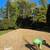 🌿 Professional Landscaping Tree Removal -Transform Your Yard Today! 6 thumbnail