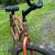 Boardwalk bike 2 thumbnail