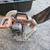 Skilsaw compound miter saw 3800 1 thumbnail