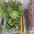 MEDIUM modern rectangular cement gray OUTDOOR pot/ planter 4 thumbnail
