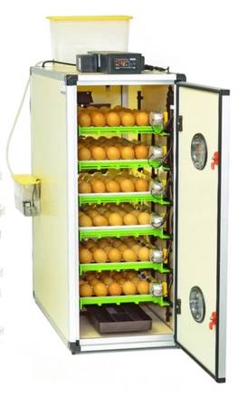 Incubator hatching services in Gresham 1