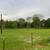 Land for sale 14.86 Acres approx. Somerville, TX 77879 6 thumbnail