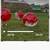 Sumo Bumper Balls by Vevor 2 thumbnail