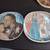 Pablo Picasso Decorative Porcelain Plates, Set of 6 (Limited 1973) 2 thumbnail