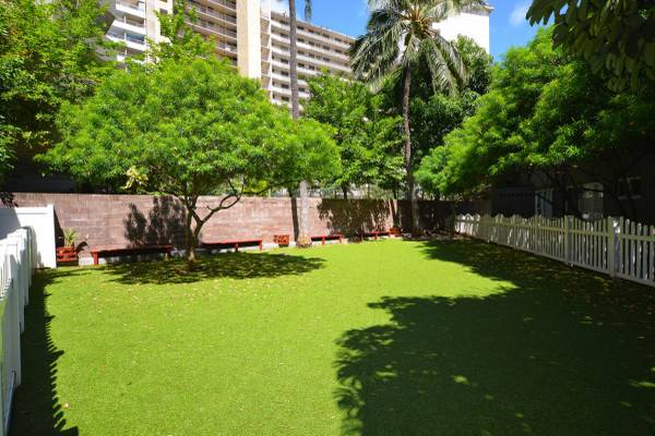 $1,785 / 1br - 460ft2 - Vinyl Plank Hardwood Flooring, Public Transportation nearby, Gas Stove (Oahu)63686726842243122