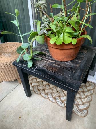 🪴🪴Potted Plants & Ceramic Pots🪴🪴 1