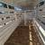 WW livestock/4 horse trailer 8 thumbnail