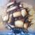 Oil Painting Andres Orpinas Original 3-D Clipper Sailing Ship 1950 5 thumbnail