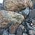 Landscaping Materials 4 U 17 thumbnail