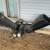 Wood chipper 2 thumbnail