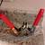 Winemaking and Beermaking Equipment 7 thumbnail