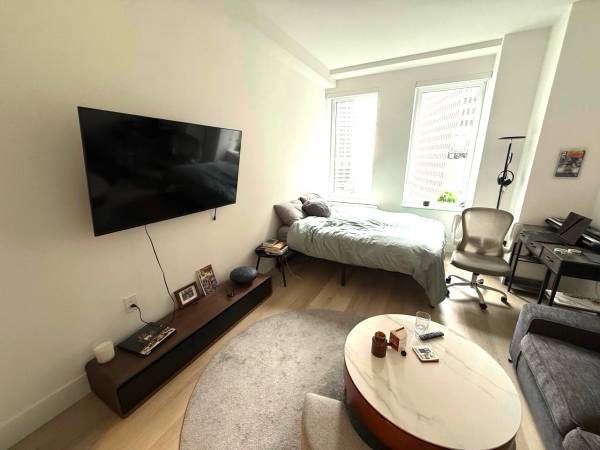 Luxury Studio Lease Takeover / FiDi / 15mo / $3742 1