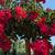 Crepe Myrtle Tree 11 thumbnail