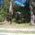 LAKE LOT FOR SALE 4 thumbnail