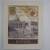 flower cup picture / feria de sevilla / Amy Grant print other pics art 4 thumbnail