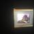 Paintings 3 thumbnail