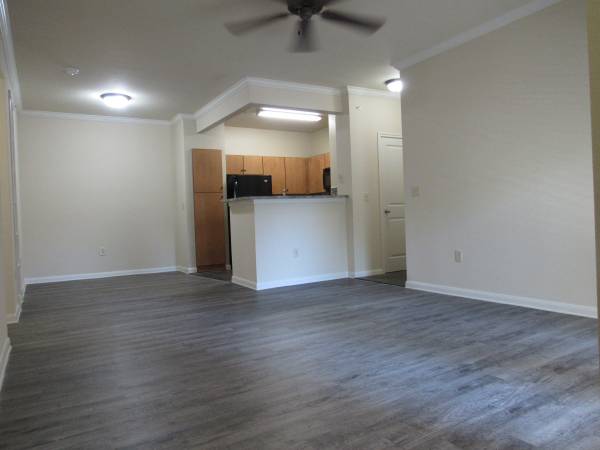 Beautiful 2 Bed -1 Bath 1