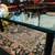 Glass and Stainless Steel Coffee Table w/Rare 3/4 Inch Thick Glass! 1 thumbnail