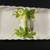 Corning Ware Casserole & Serving Dish 4 thumbnail