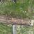 Barn beams 2 thumbnail