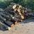 Firewood Logs - Boilerwood 3 thumbnail