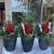Holiday Porch Planters 6 thumbnail