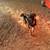 Mascotas/Dog German Shepherd 9 thumbnail