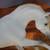 Breyer Horse Collectibles 2 thumbnail