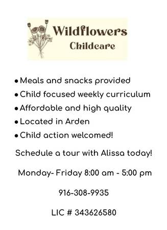 Wildflowers childcare affordable quality care (Arden)63848875243393120