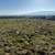 10 Acres AMAZING views Gilroy. Animal property. Duke Drive 17 thumbnail