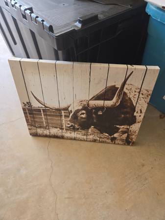 Texas Longhorn Steer Wall Art 1