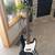 Fender Jazz Bass - Squire 5 thumbnail