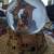 Nativity scene music box globe 2 thumbnail
