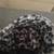 Kids leopard print jacket zipper pockets and more! Super cute! 1 thumbnail