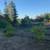 Sebastopol Countryside 1 bd. 1bth. ADU 5 thumbnail