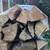 Seasoned Firewood Bundles 8 thumbnail