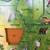 USA map puzzle 2 layers wood 2 thumbnail