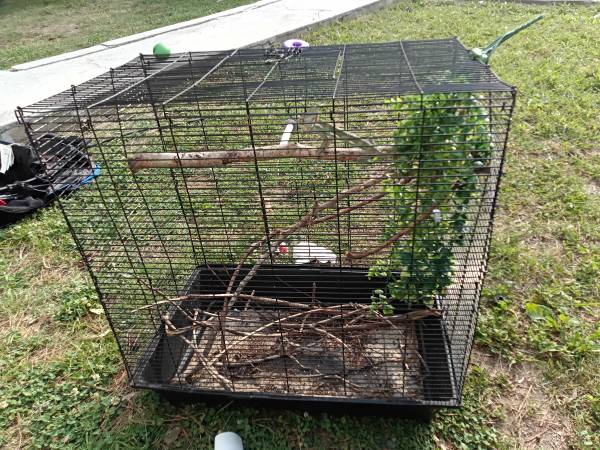 Large bird cage 1
