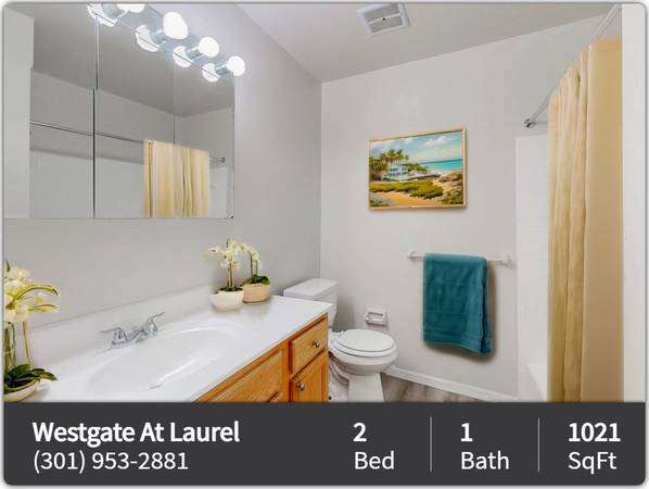 $1,895 / 2br - 1021ft2 - Beyond ordinary: 2 BR, 1 BA, 1021 Sq Ft of comfort. (Laurel)64040362273153120