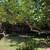 2bed/1bath house Santa Clara Ca 95050 8 thumbnail