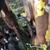 Read Ad Parting out John Deere tractor 155c runs and drives great Rusty deck 10 thumbnail