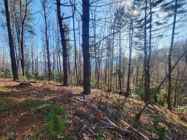 $88,000 Gorgeous lot on the mountain - Digging Seng Trail (Waynesville)64029206817793124