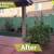 ***Professional Lawn and Maintenance Services, Quality & Excellence*** 13 thumbnail