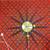 MCM Electric Howard Miller George Nelson Sunburst Clock 1 thumbnail