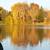 72 ACRES . LAKE FRONT . 4 BDRM . FIN WALK-OUT BASE . REMODALED 18 thumbnail
